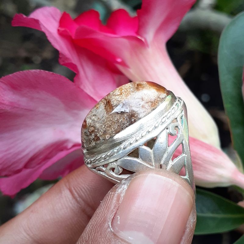 Batu Fosil Kayu Aren Semi Kristal