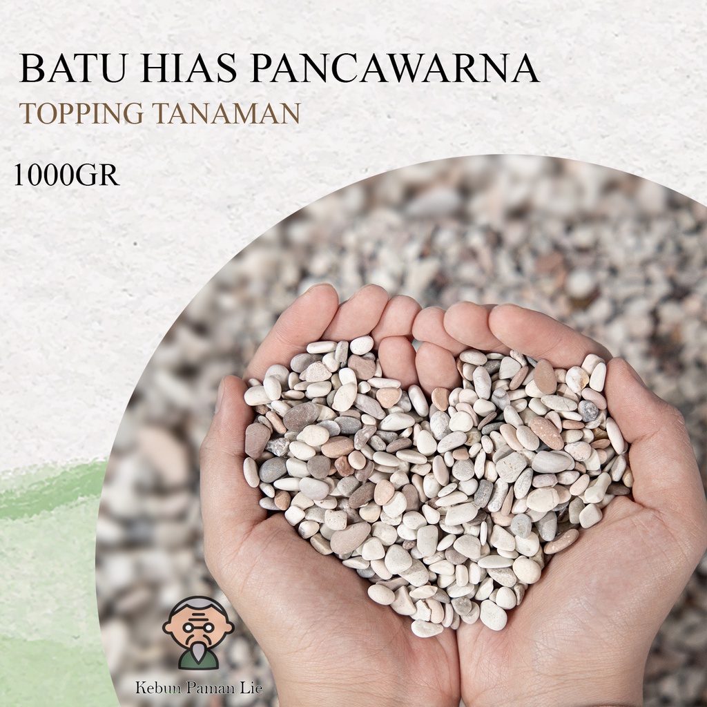 Topping Hiasan Batu Pancawarna Tanaman Hias Aquascape