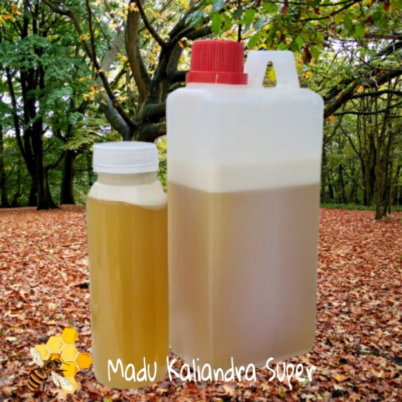 

Madu Kaliandra Super