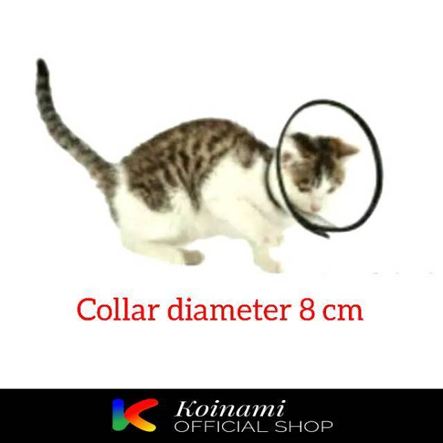 COLLAR NO.5 / collar pelindung pasca operasi kucing anjing diameter 8cm