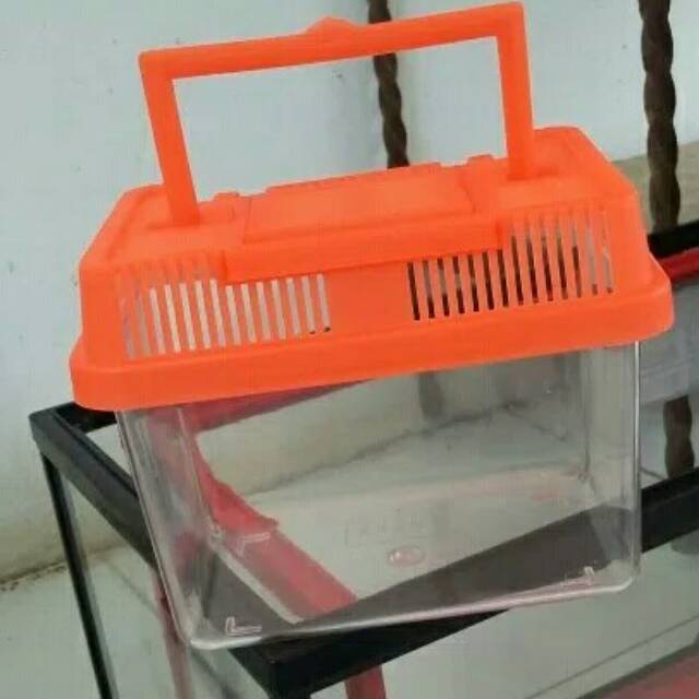 Mini Terarium Kandang Hamster Reptil Dan Kura Kura