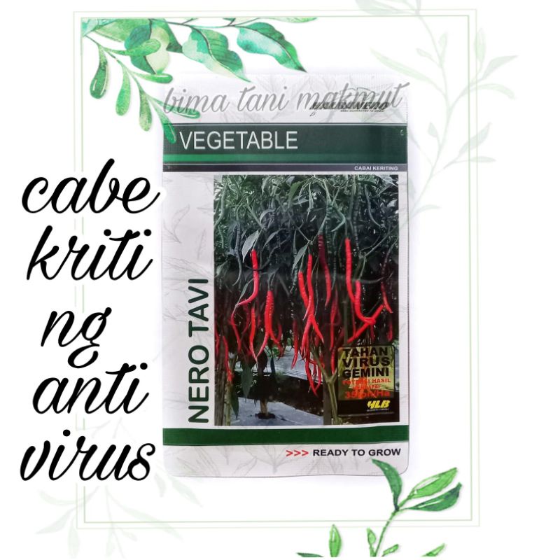 CABE KRITING HALBANERO NERO TAVI ANTI VIRUS GEMINI