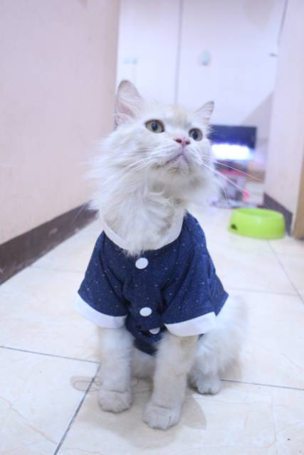 Baju koko siap order lebaran baju koko untuk kucing size S-XL