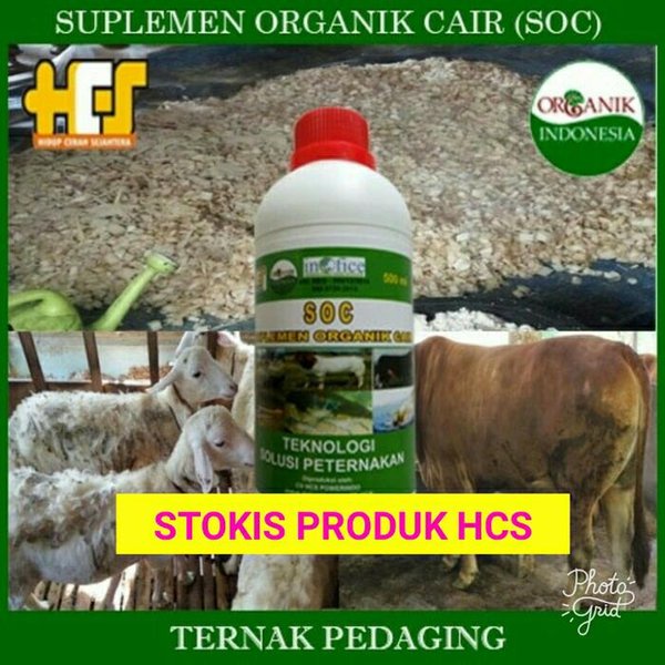 Soc Hcs Suplemen Untuk Membuat Pakan Fermentasi Kambing Sapi Shopee Indonesia