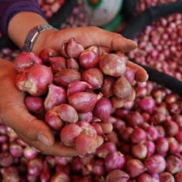

BRAMBANG BAWANG MERAH BESAR 500GRAM