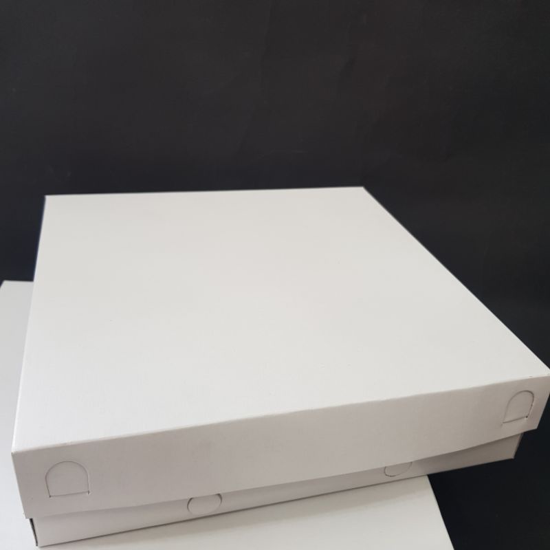 

DUS PIZZA PUTIH 20X20X5 10 PCS