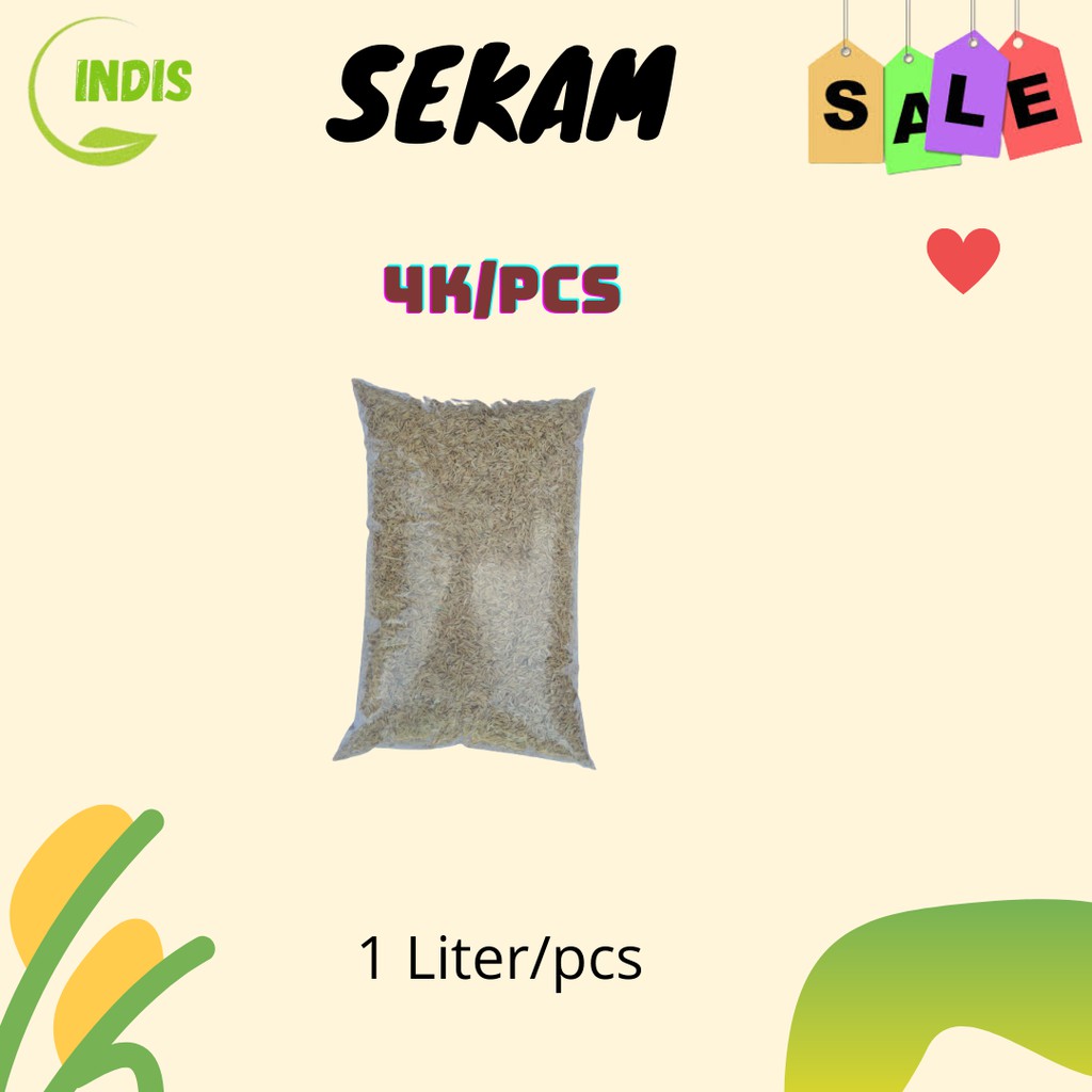 SEKAM PADI, SEKAM MENTAH , SEKAM MEDIA TANAM