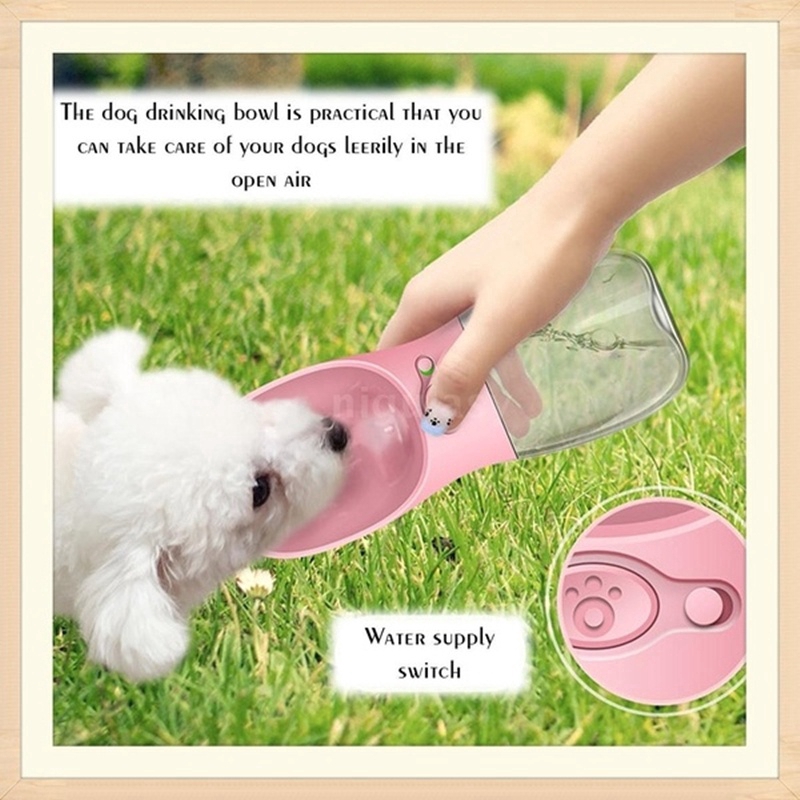 outdoor dog water dispenser
