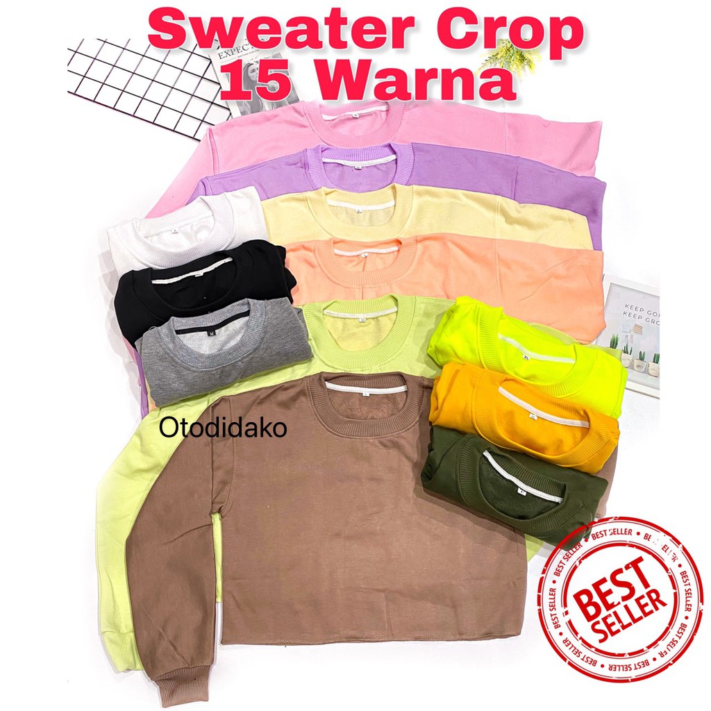 [BAYAR DITEMPAT] BASIC SWEATER CROP ALLSIZE & BIG SIZE-1