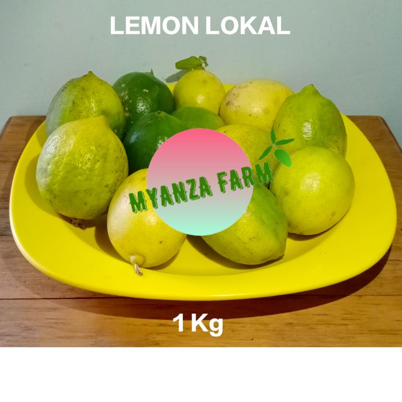 

JERUK LEMON LOKAL MURAH - 1 KG