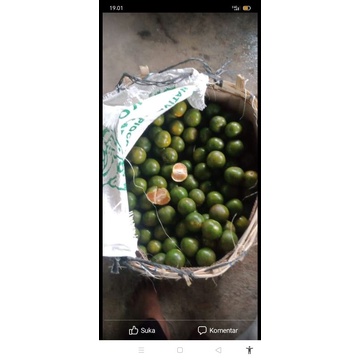 

Dodol Sidempuan dan jeruk manis