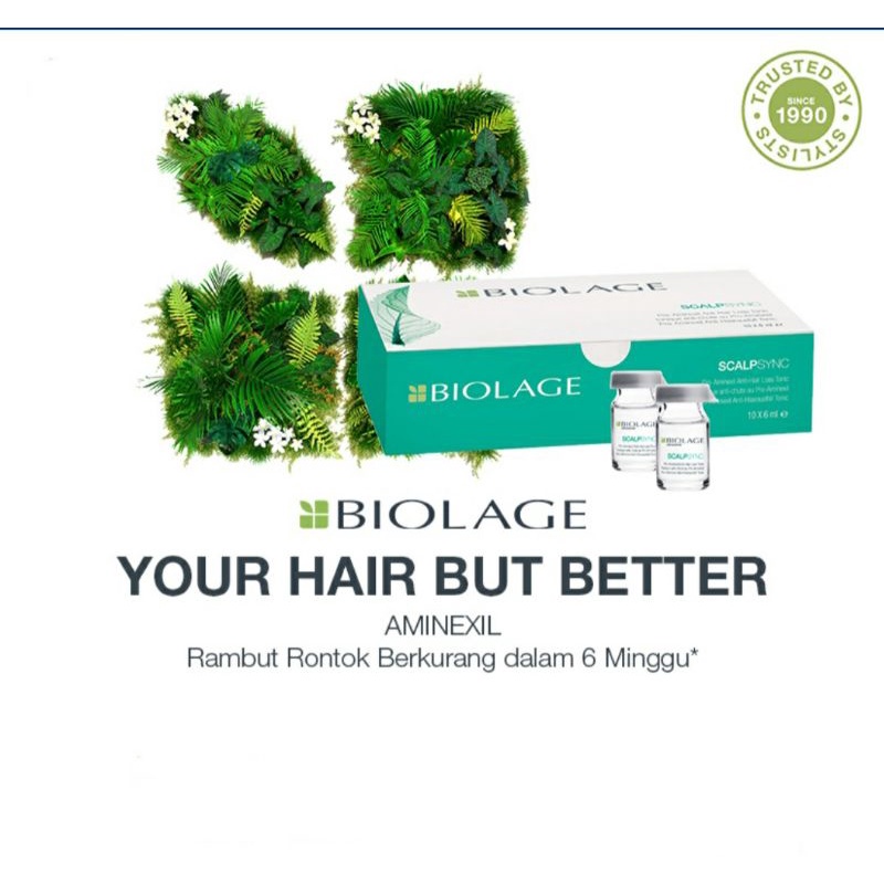 AMINEXIL MATRIX 10 × 6 ML / AMINEXIL / MATRIX / BIOLAGE / serum rambut / rontok