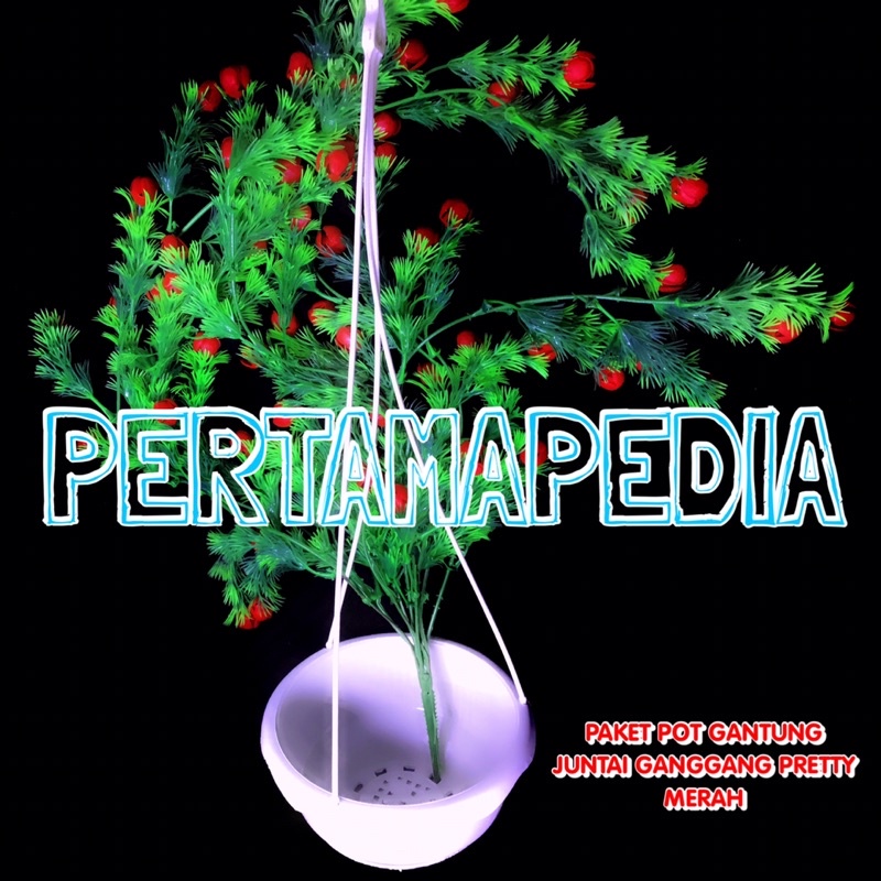 PAKET JUNTAI GANGGANG PRETTY PRITI+POT GANTUNG/Bunga Plastik/Daun Rambat Plastik/Busa Bunga/Dekorasi-5