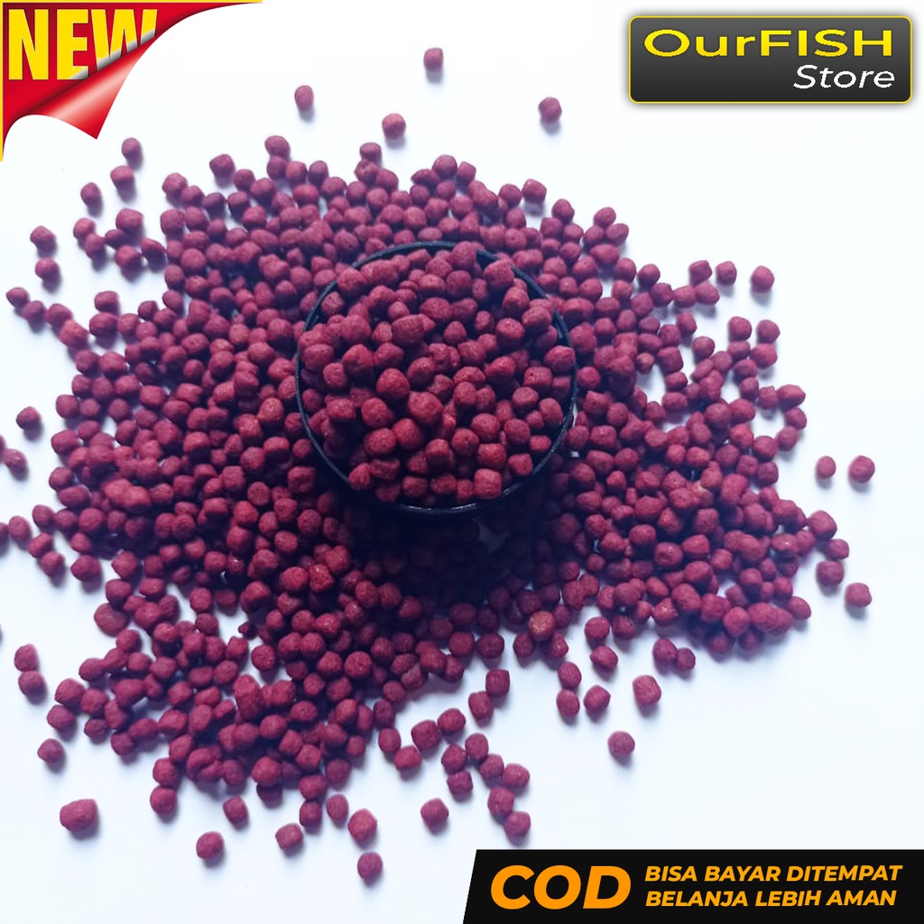 OURFISH - Redfish Pelet Makanan Pakan Ikan Arwana Super Red Golden Silver Jardini