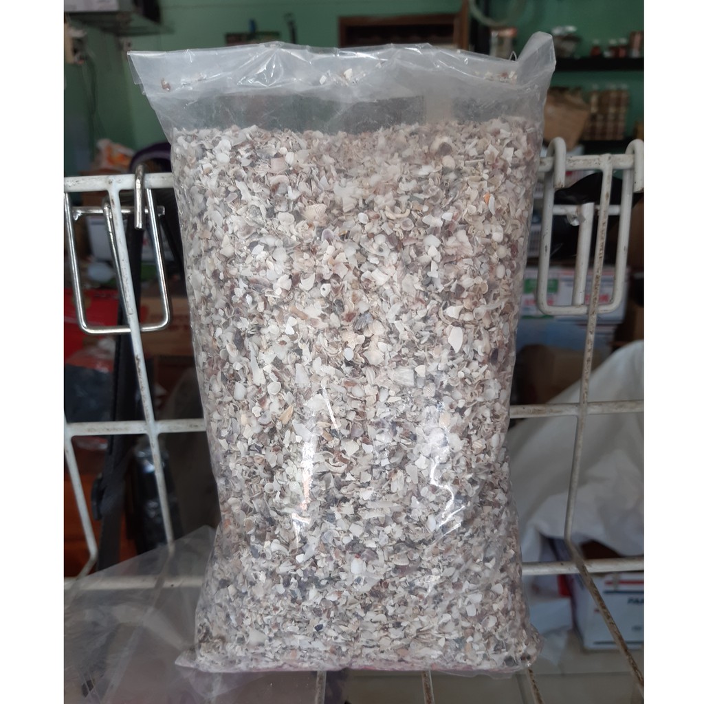 Remisan Burung Merpati Kijing