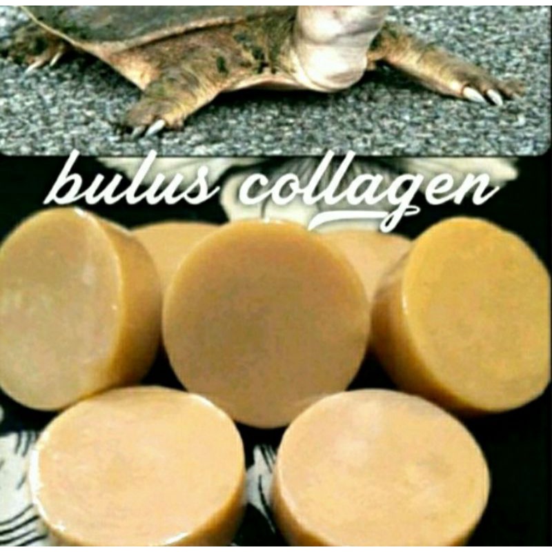 Sabun Minyak Bulus Collagen / SABUN Kecantikan Kulit / Sabun Pembersih Pengencang Kulit Wajah