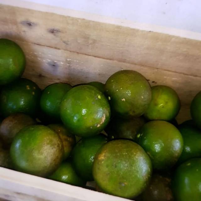 

Jeruk peras manis 1 kg