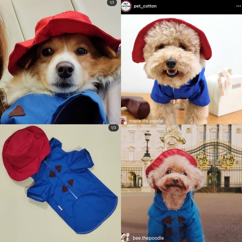 baju anjing costum anjing kostum anjing kucing paddington