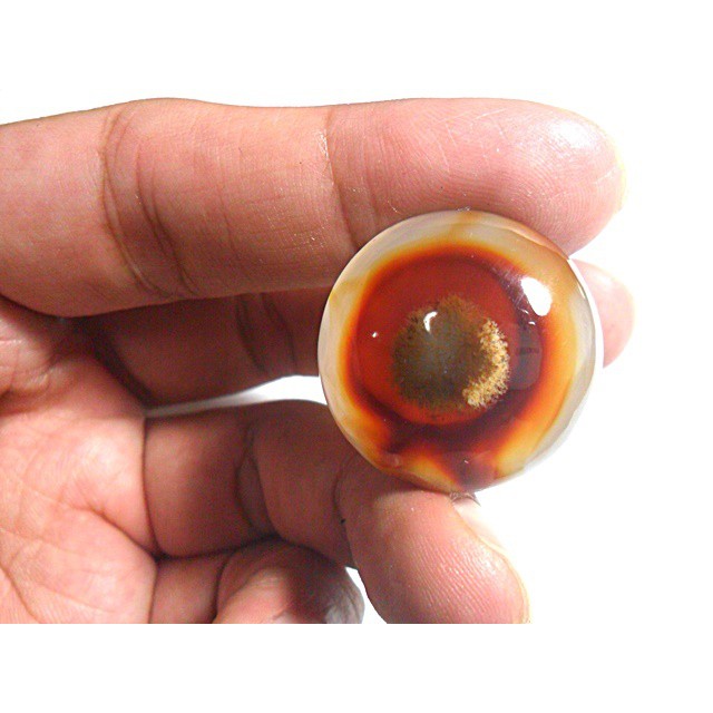 AG096 Round cabochon 46ct 26mm Natural Sagenitic Golden Needle Picture Agate Like Evil Eye