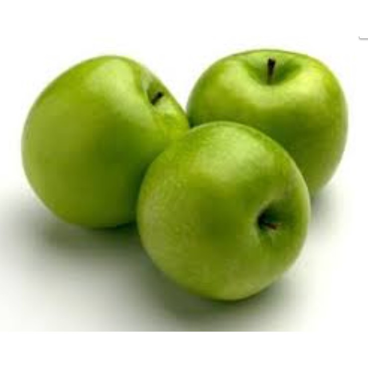 Bibit Apel Hijau Princess Noble