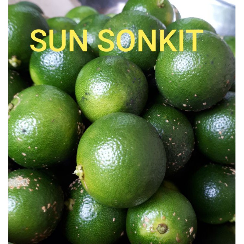 

Jeruk sonkit murah segar bagus