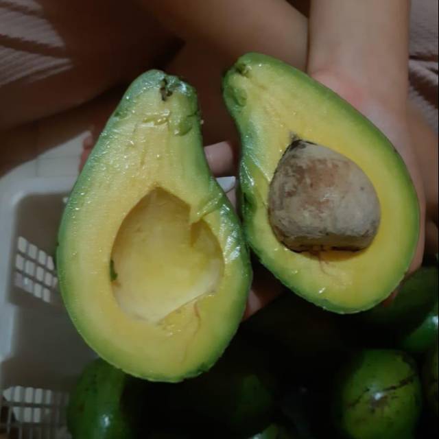 

Alpukat Mentega