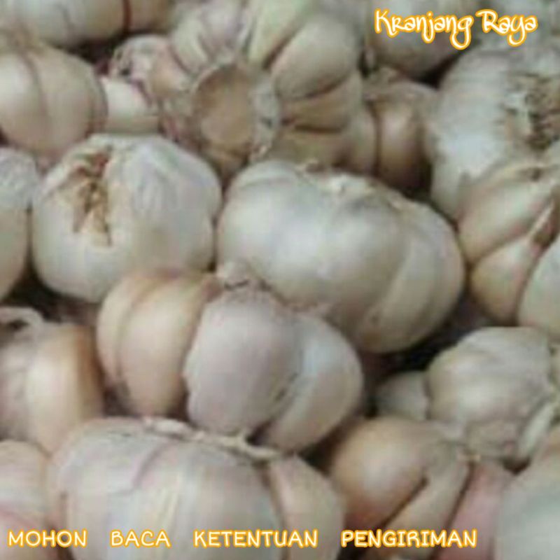 Bawang Putih kulit