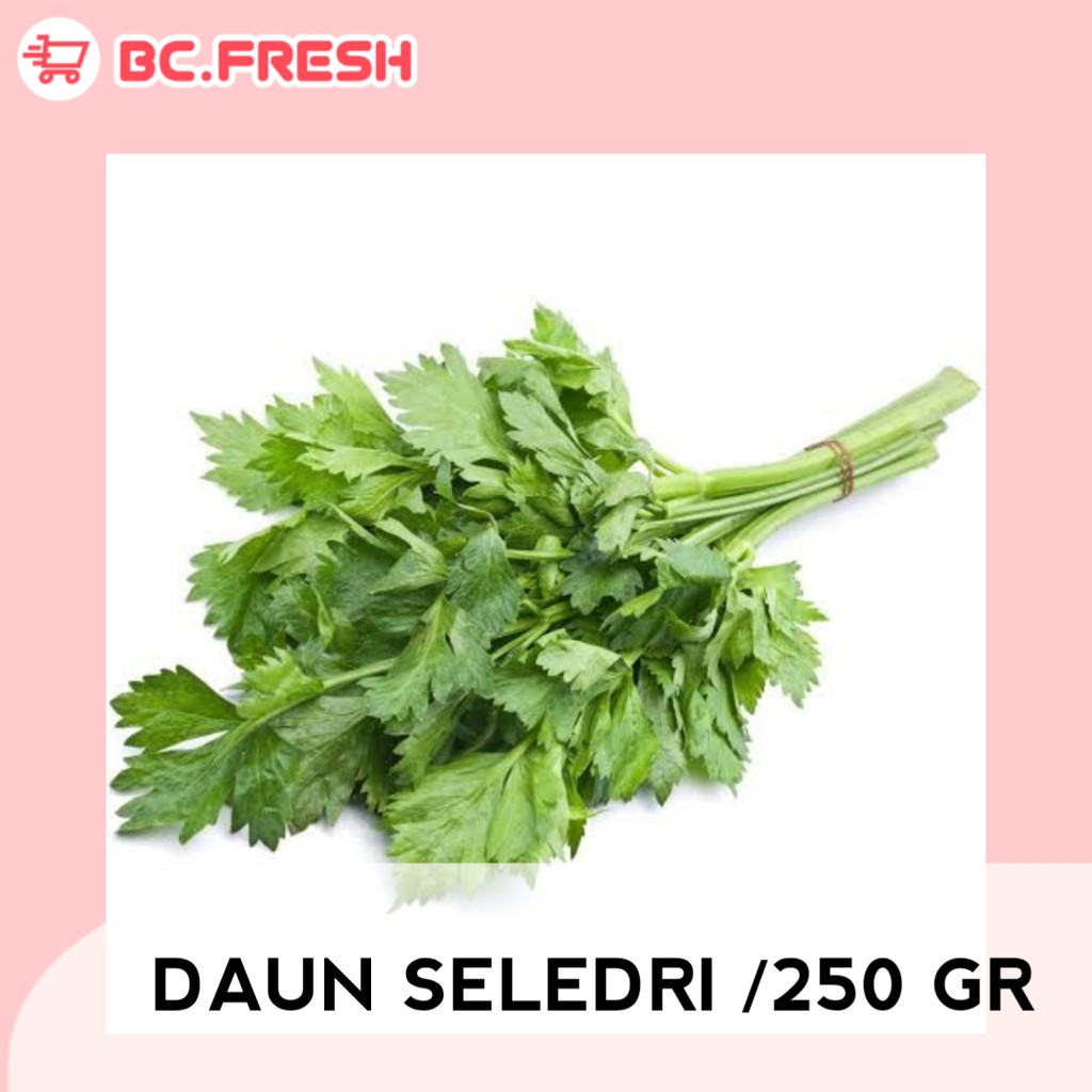 

Daun seledri 250 gram