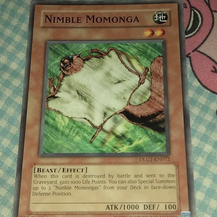 Nimble Momonga
