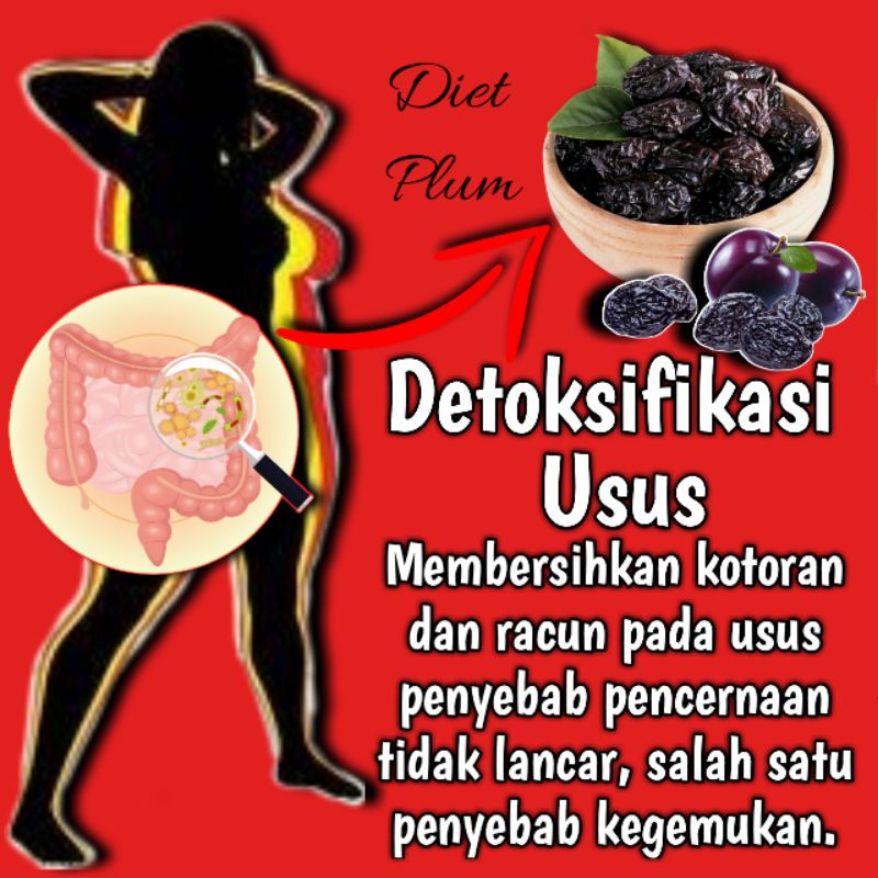 KURUS KILAT PAKET EXTRA STRONG Pelangsing Obat Diet Herbal Ampuh Penurun Berat Badan No Herballife