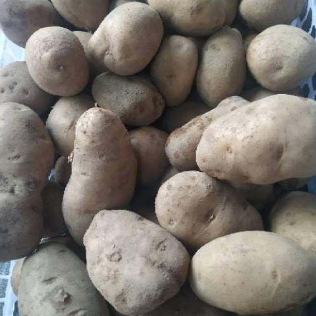 

Kentang 1kg
