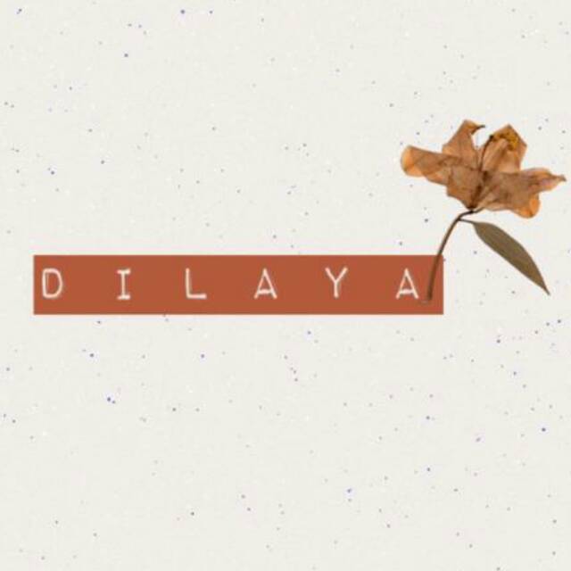 dilayashop