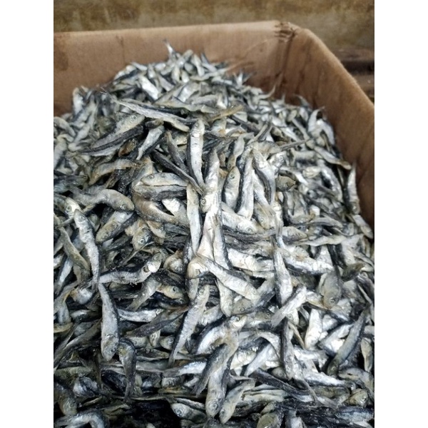 

Ikan Asin Jambal Lemet Menit Kecil Murah 500g