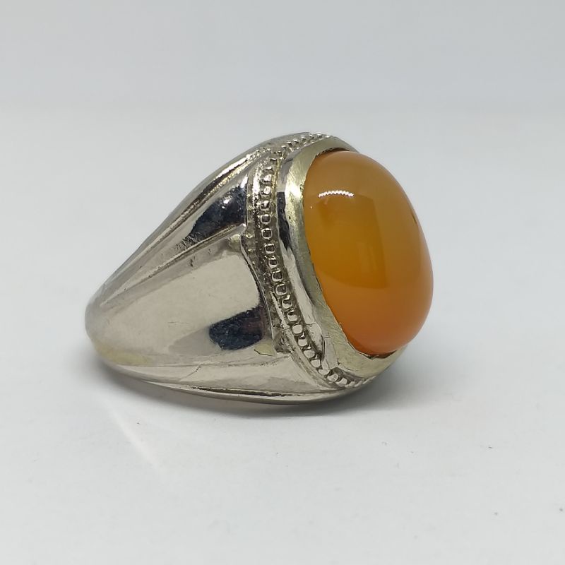 Raflesia orange bengkulu.