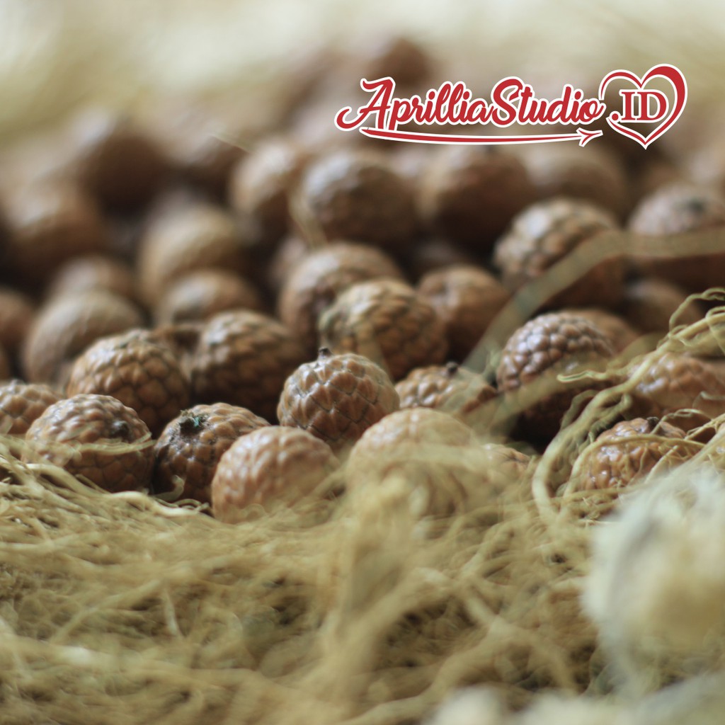 Bahan Kerajinan Untuk Dekorasi Rustic &amp; Craft Biji Rotan / 10 pcs