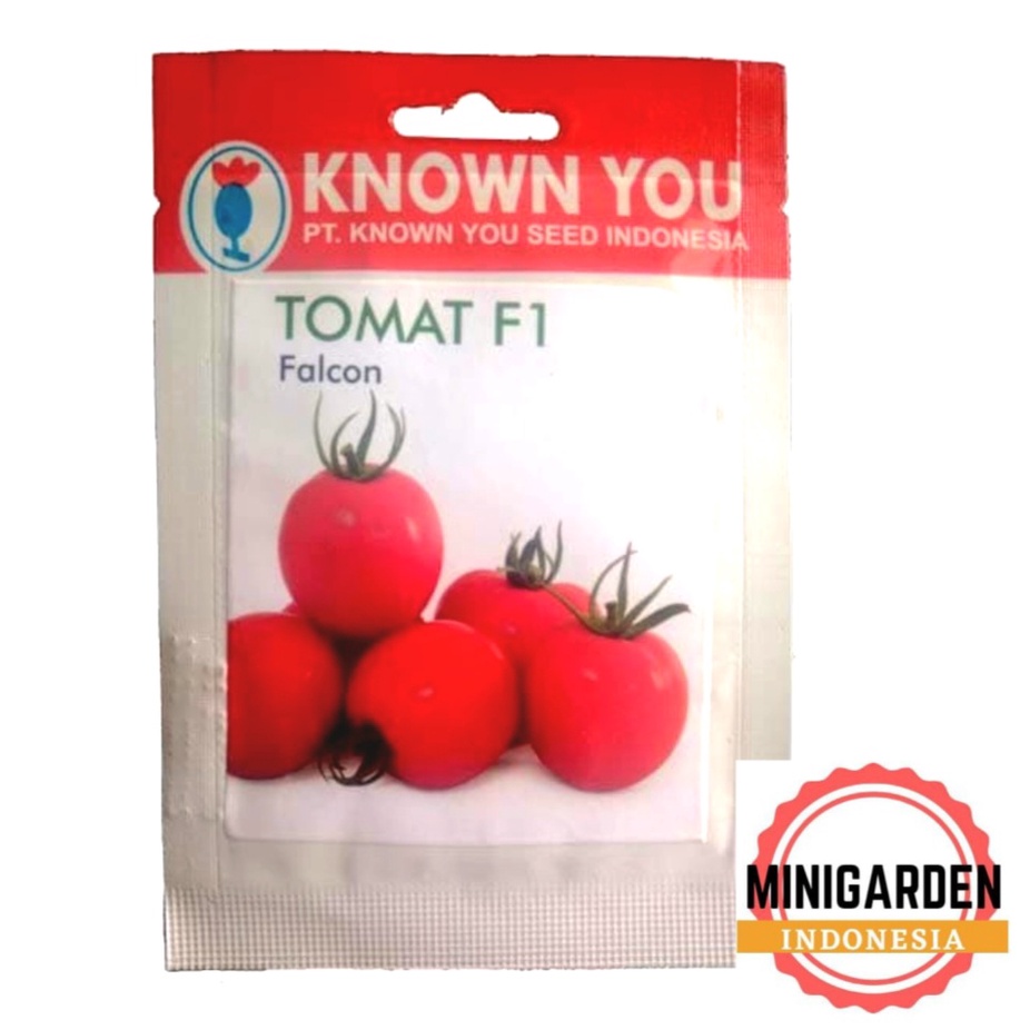 TOMAT FALCON PACK KECIL 70 seeds benih biji tomat f1 unggul tomat merah falcon known you seed