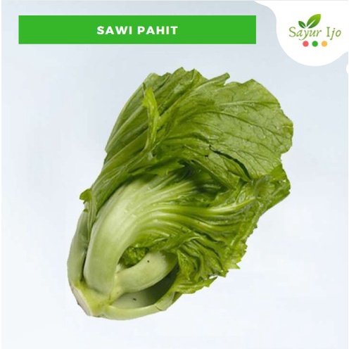 

Sawi Pahit 250 - 300 Gram Fresh Choy Sum Caisim Cocok Untuk Sayur Asin / Hijau Segar