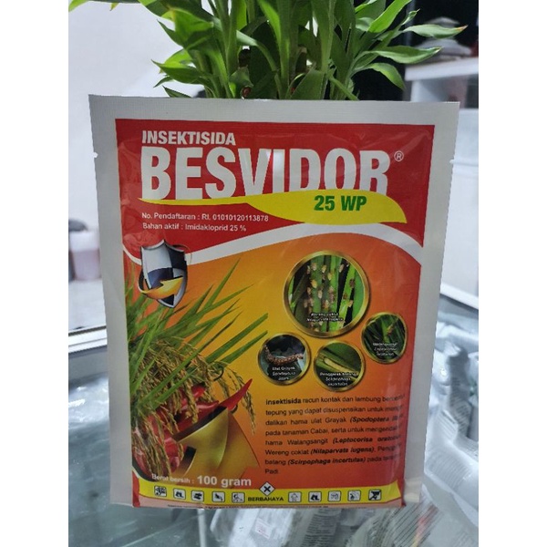 BESVIDOR 25WP 100GRAM