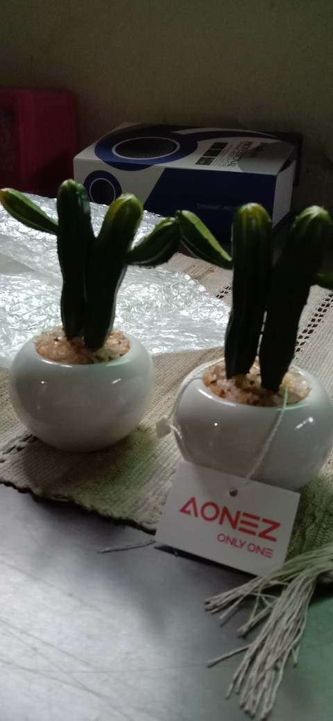 Homes Mystery Box (1 Jenis Produk)