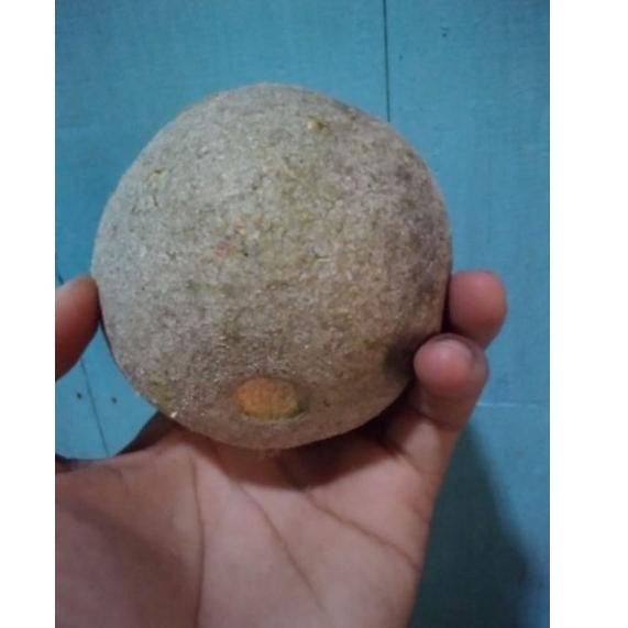 

{U-EMI {☎ buah kawis 1kg ( isi 2-4 buah) ||viral