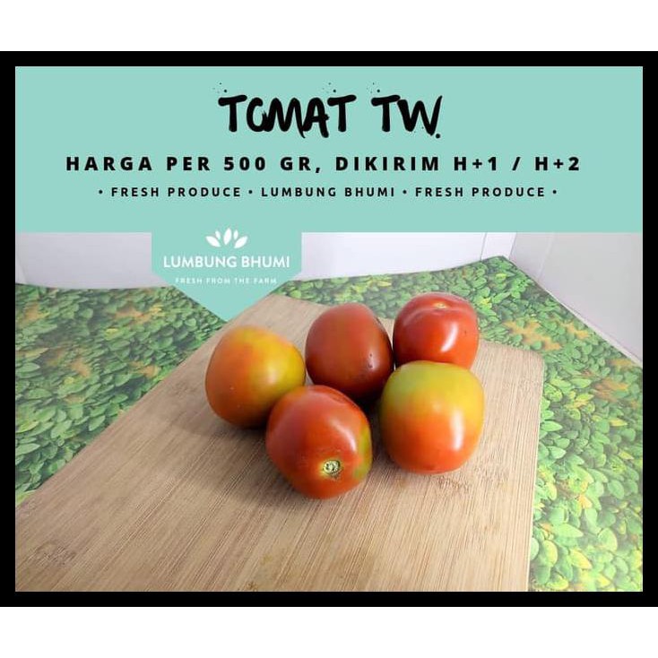 

HOT SALE Tomat TW ( Sayur - Sayuran Curah ) terjamin