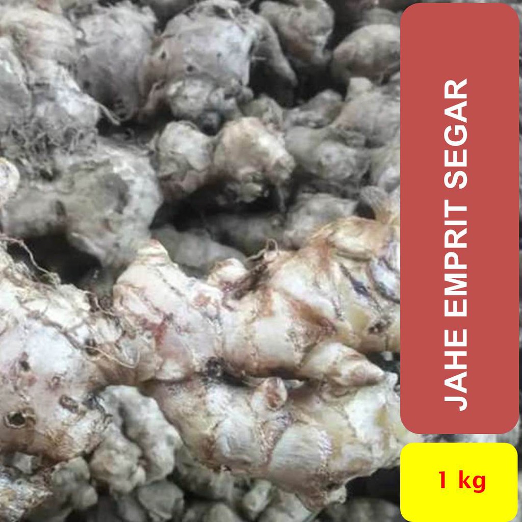 

Jahe Emprit Segar 1000 gram