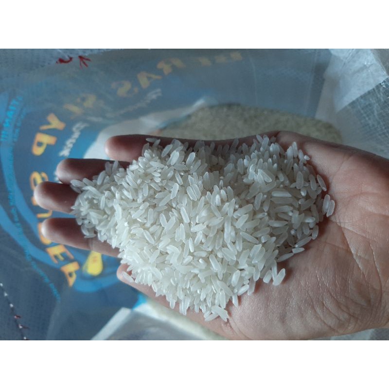 

Jempol dan Padi mas