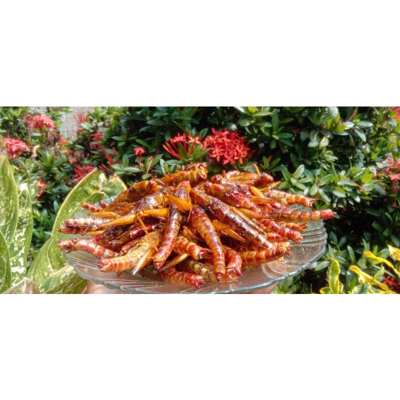 

BELALANG GORENG BESAR 2kg