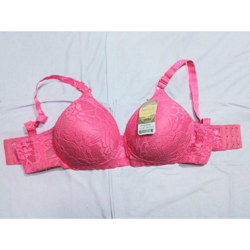 BH GAIXIN BROKLAT 42/48 hak 3 /6 pcs setengah lusinan