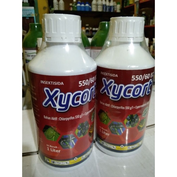 Xycort550g/l 60g/l