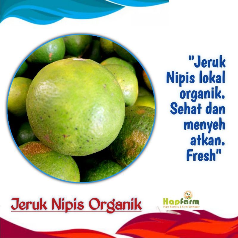 

JERUK NIPIS LOKAL ORGANIK SEHAT DAN MENYEHATKAN PAKET 250 GRAM