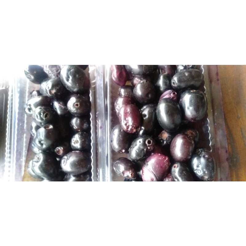 

Buah Juwet / Duwet / Jamblang