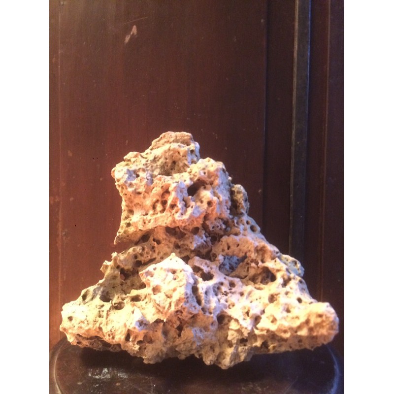 Batu Alam Karang Kapur Gunung