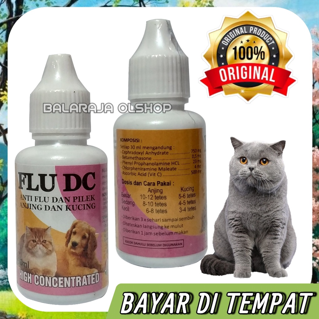 OBAT KUCING ANJING SAKIT FLU PILEK BERSIN-BERSIN FLU DC DOG CAT